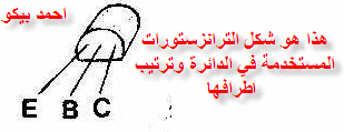 مبرمجة