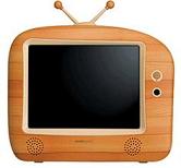 TV's workshop